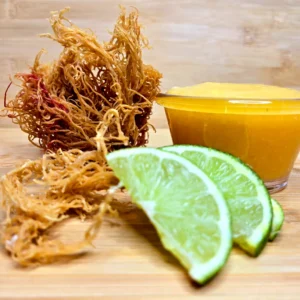 Mango Go Sea Moss Gel